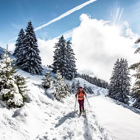 Apartamento Portes Du Soleil Psb187 Telecabine & Mountain 4 Per Châtel