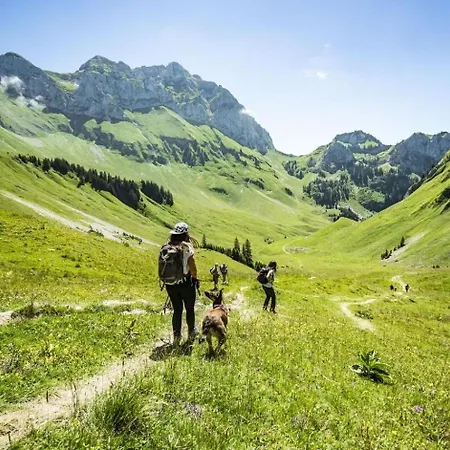 Portes Du Soleil Psb187 Telecabine & Mountain 4 Per *
